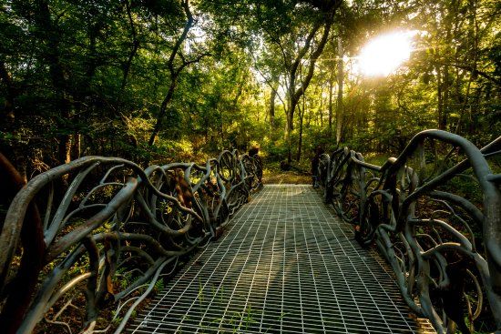 Barr Hammock Preserve